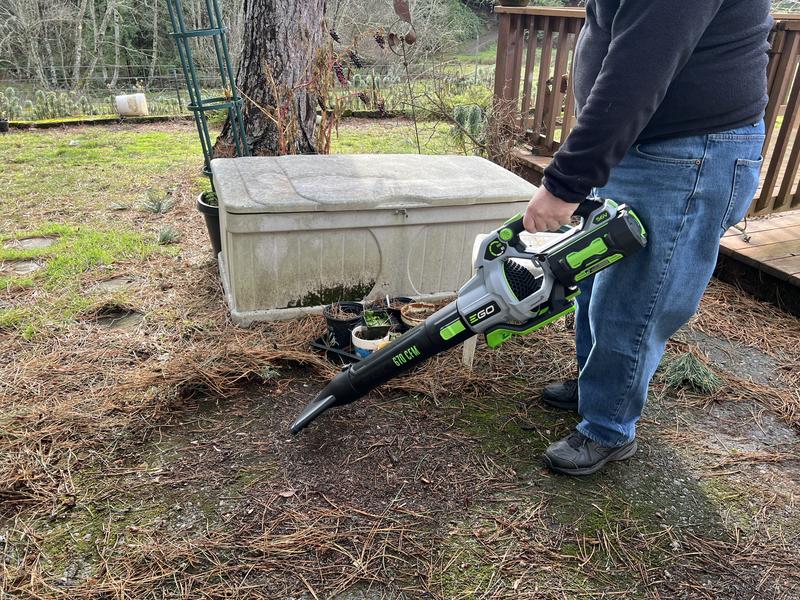 Photo - commentaire 2.