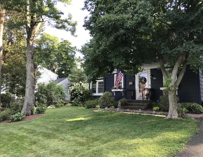 Photo - commentaire&nbsp;6.