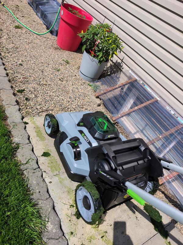 Photo - commentaire 6.