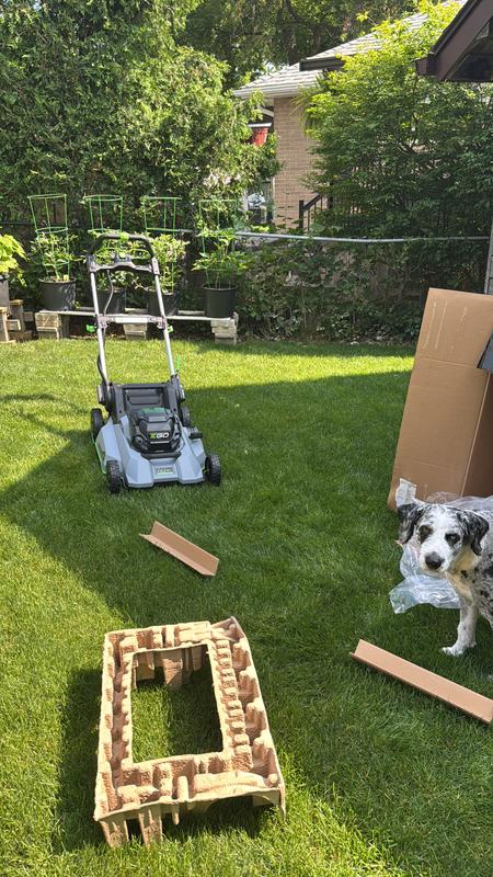 Unpacking was simple