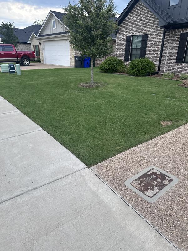 Photo - commentaire&nbsp;6.