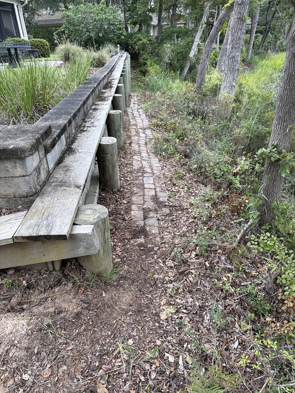 Combination of Ego polesaw and pole trimmer