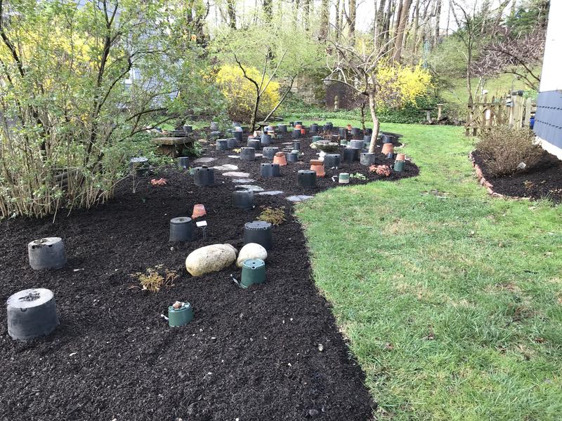 Size of my lawn, plus an 8’ x 20’ strip in the back.