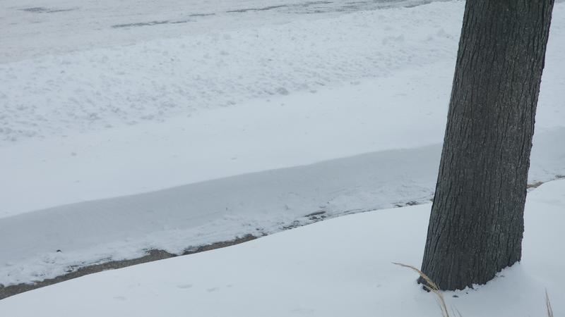 Photo - commentaire 5.