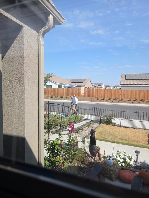 Cut the lawn a week ago but looks good still.