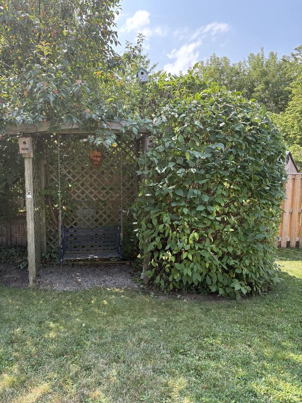 Photo - commentaire 4.