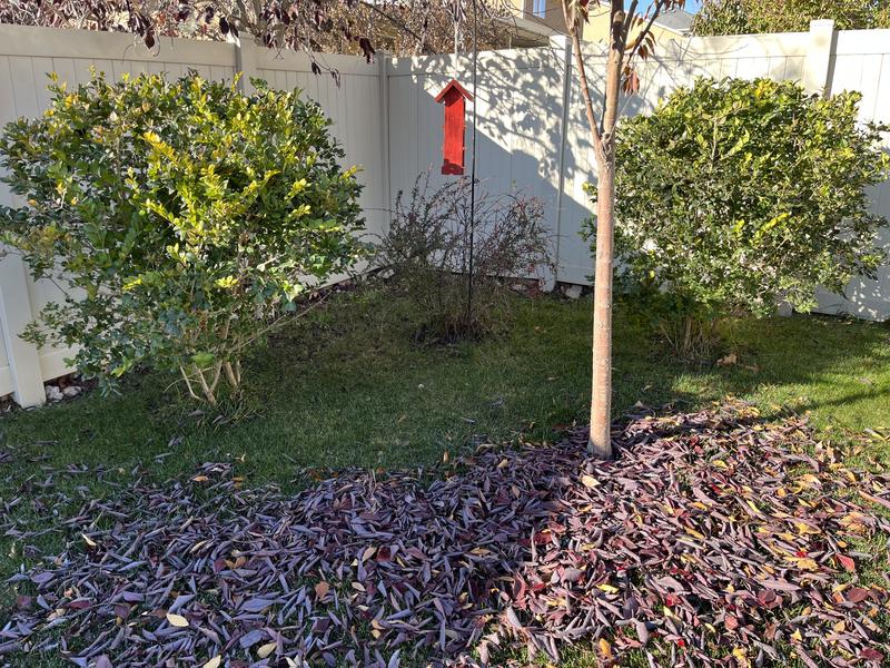 Photo - commentaire&nbsp;7.