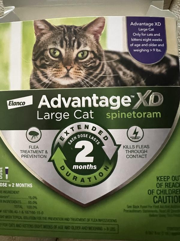 Advantage XD Flea Prevention for Large Cats