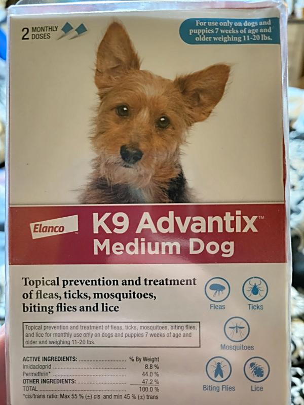 Flea prevention