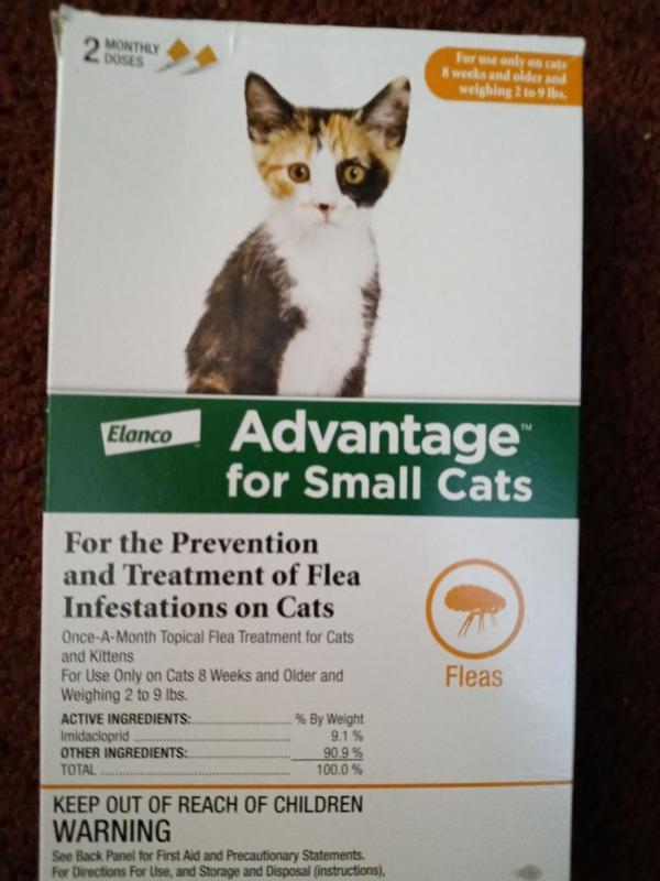 Petco advantage small orders cat