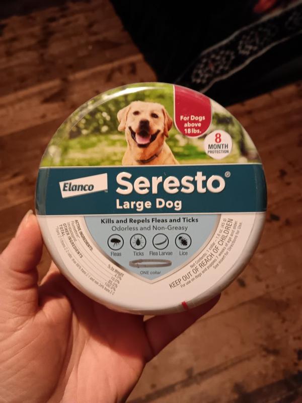 Flea Bayer Seresto Large Dog Bayer Seresto Flea And Tick Collar