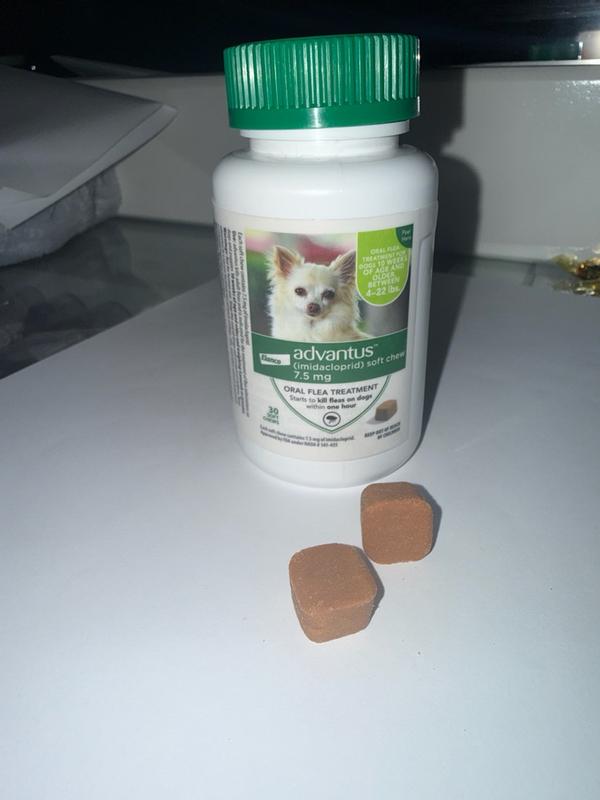 Review photo 4.
