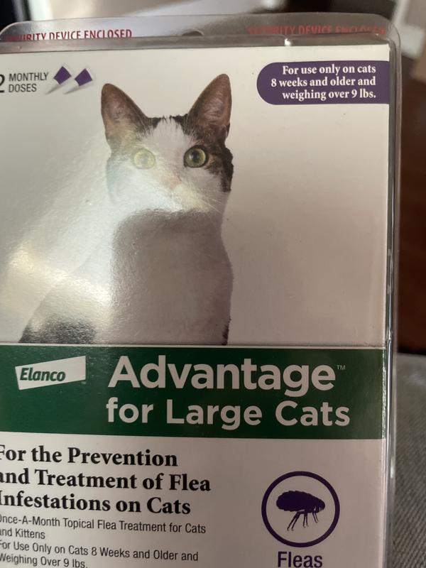 Advantage Large Cat Flea Prevention & Treatment 2Pack