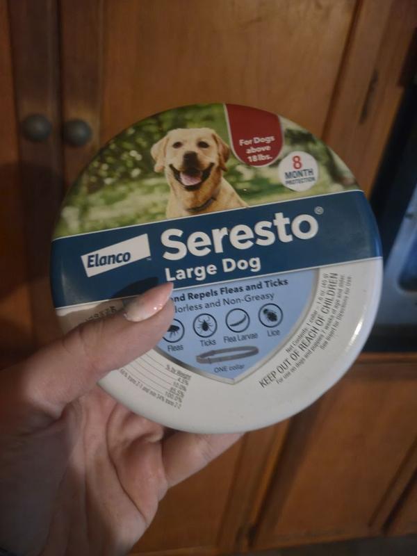 Bayer Seresto Flea and Tick Collar for Dogs and Cats Vet-Recommended