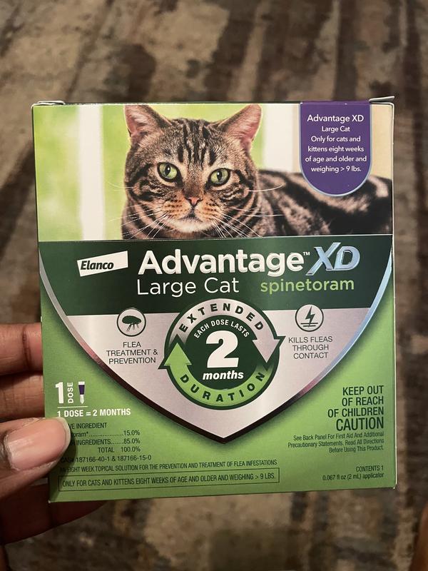 Advantage For Large Cats Bayer Advantage II Flea Control For