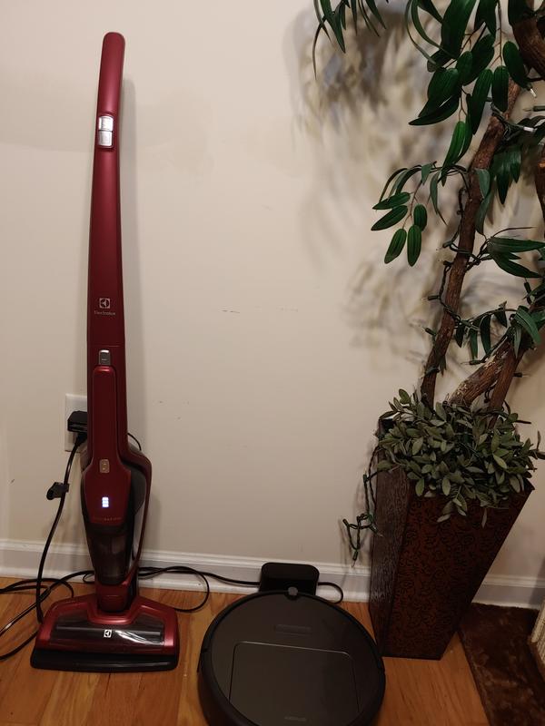 Electrolux Ergorapido Pet Bagless, Cordless, with Detachable Handset in Red  Stick Vacuum EHVS3510AR - The Home Depot