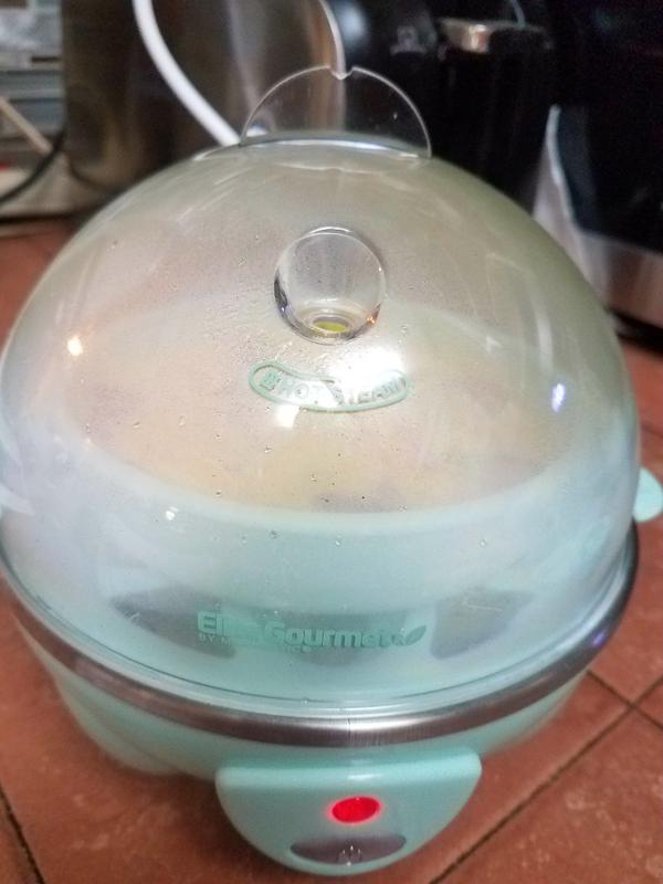 14-Egg Programmable Easy Egg Cooker, Steamer, Poacher (Mint) – Shop Elite  Gourmet - Small Kitchen Appliances