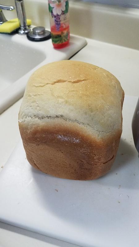 elite gourmet bread maker butter bread｜TikTok Search
