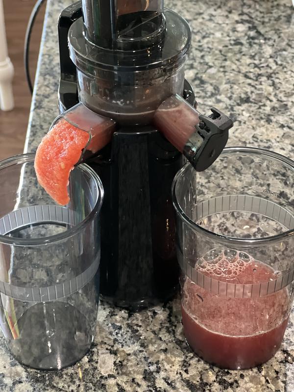 Elite Gourmet Small Compact Slow Juicer EJX600 Review --- Works
