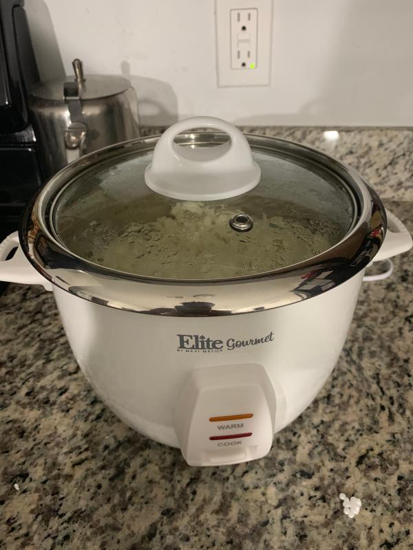 Elite 10 Cups Programmable Residential Rice Cooker in the Rice