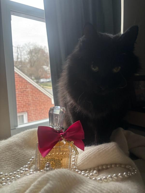 Customer carousel item 6.