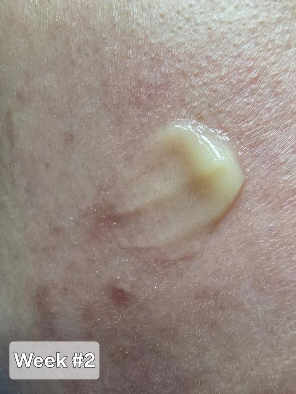 Photo from savvyv_2678