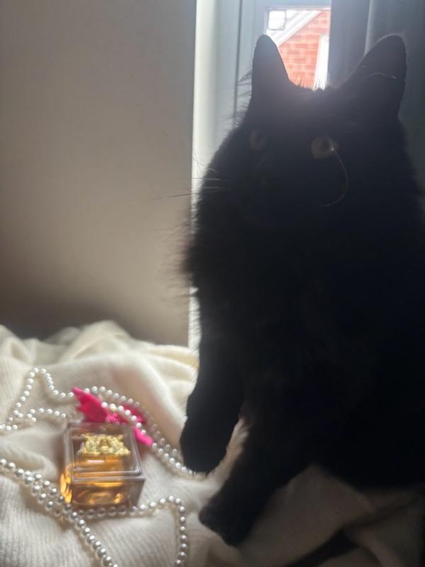 Customer carousel item 7.