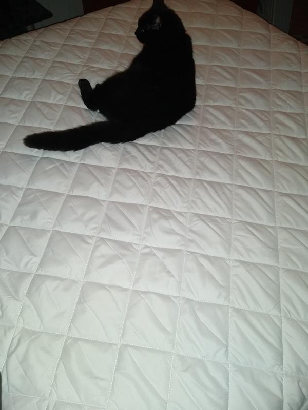 My new simple fit skirt!! From SERTA!!!