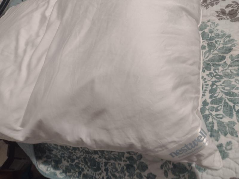 Nestwell™ Plush Cloud Soft Support Bed Pillow Bed Bath and Beyond Canada