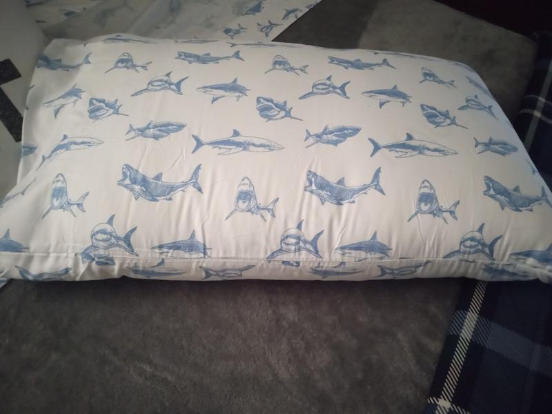 Great height comfortable plumpness