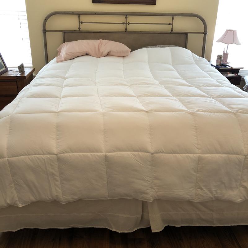 Reviews for Serta Down Illusion Lightweight White Down