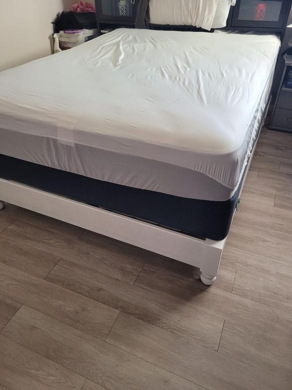 Queen Stain Protection Mattress Covers & Protectors You'll Love