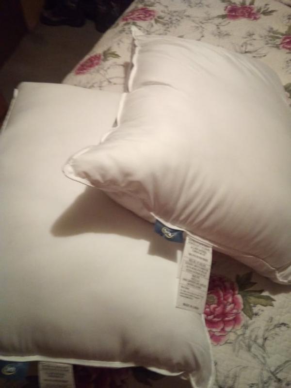 Both of my Serta Pillows