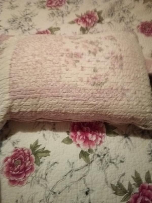 Serta filled Pillow case