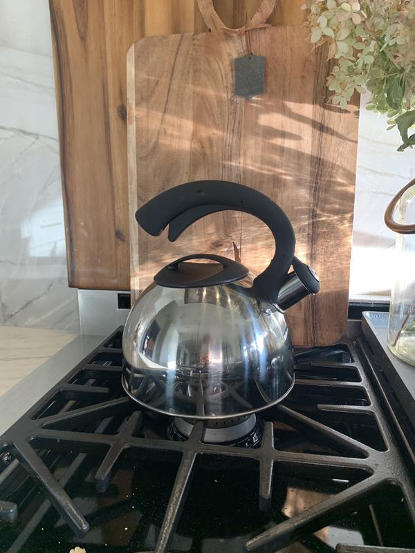 Primula 3 Quarts Stainless Steel Whistling Stovetop Tea Kettle & Reviews