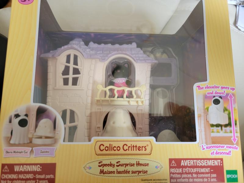 Gloria midnight cat and Spookie!