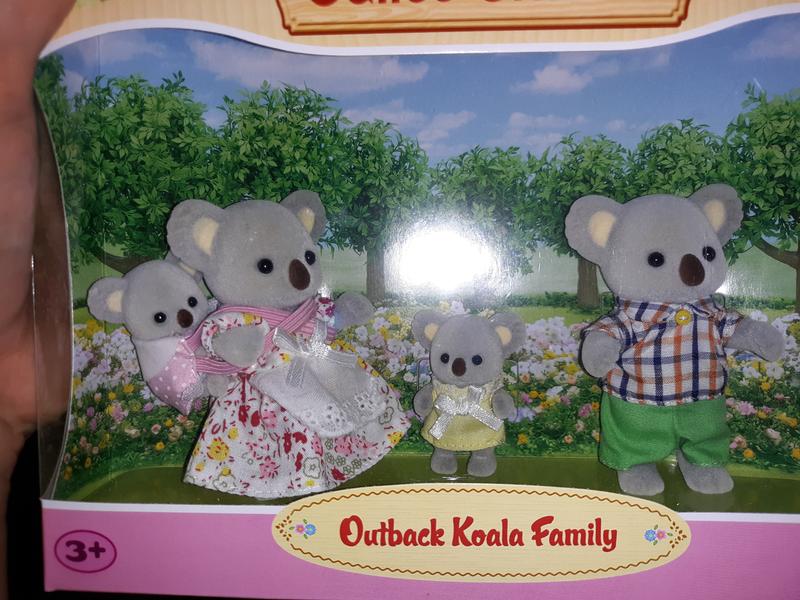 outback koala family