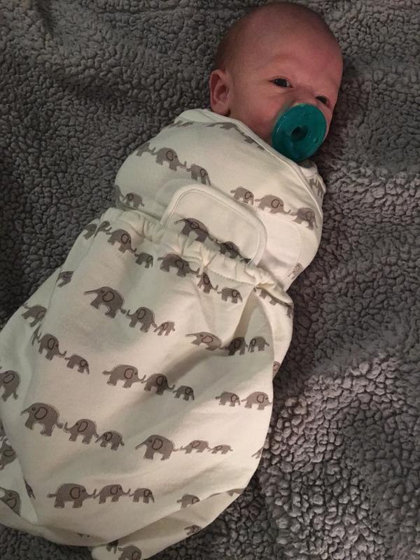 Ergobaby™ Sheep Themed Original Swaddler in Ivory buybuy BABY