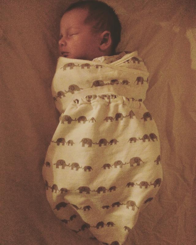 Ergobaby™ Sheep Themed Original Swaddler in Ivory buybuy BABY