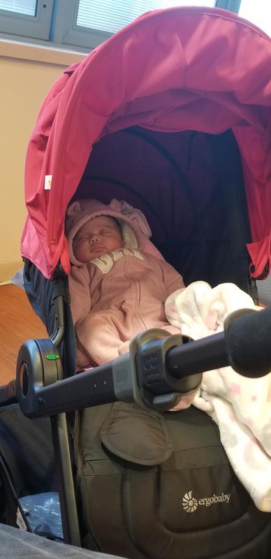 carucior ergobaby