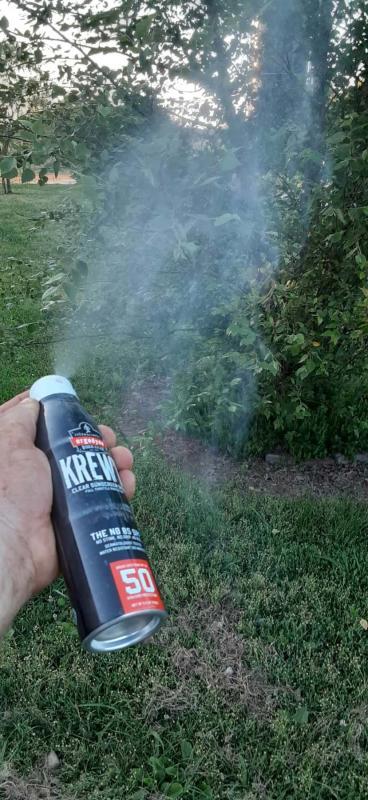 Time to paint the kids.