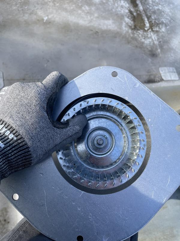 Like little razor blades.