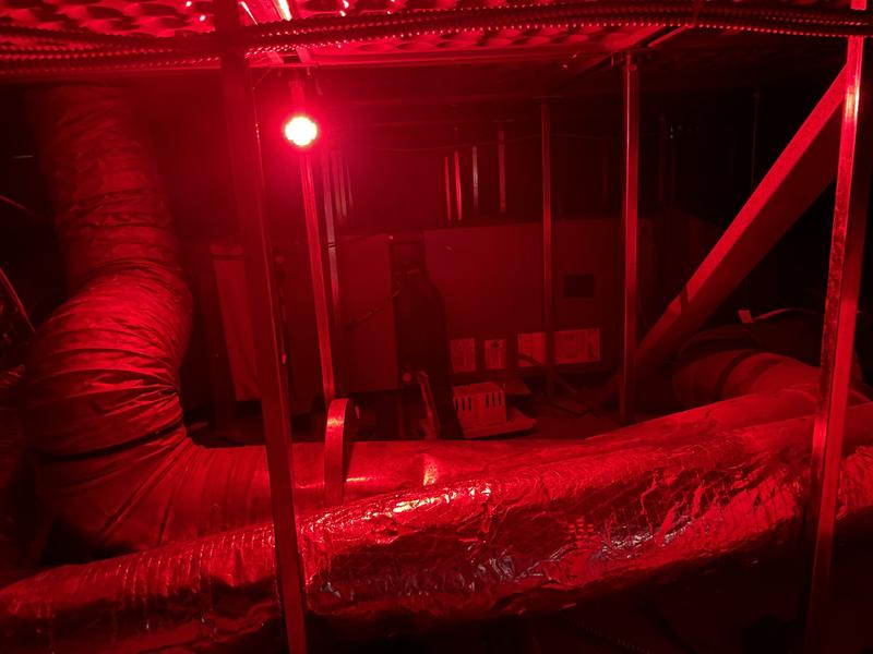 No question. It’s bright!