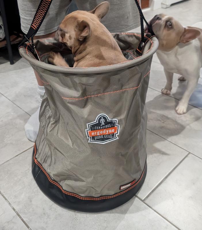 No animals were harmed during this photoshoot. 😉