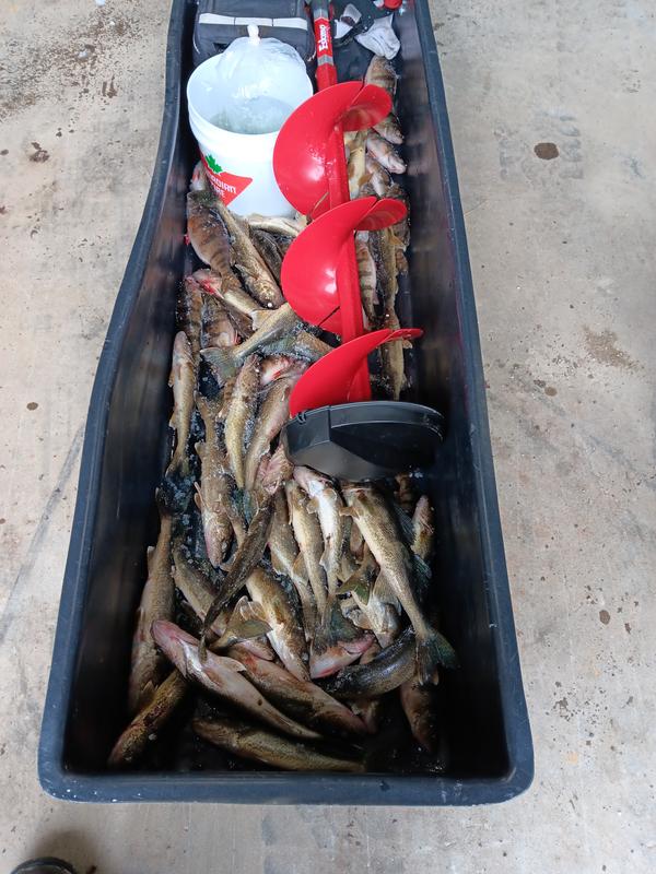 Good day with some friends