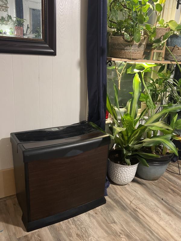 My plants really enjoy this humidifier!