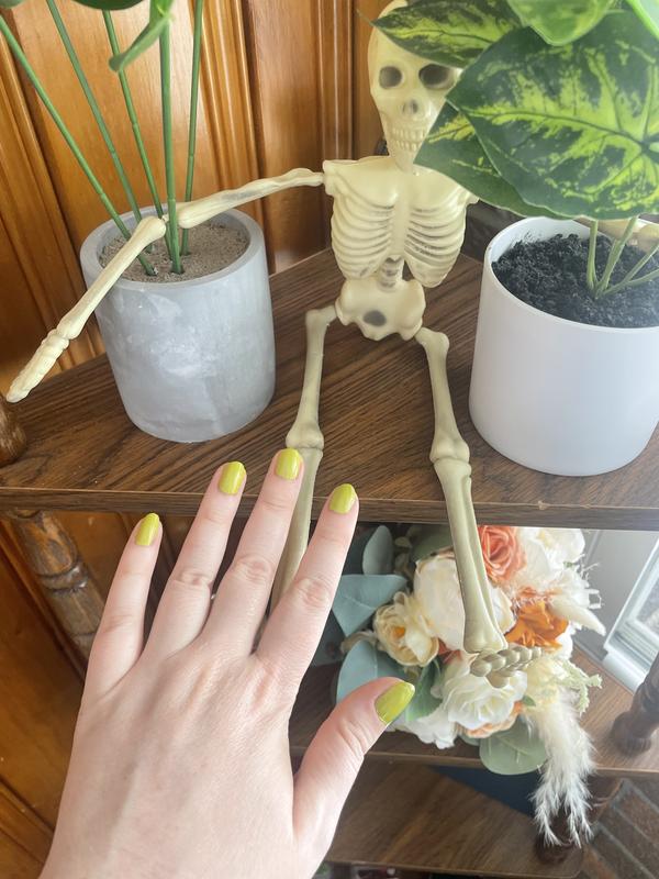 Skelly approves!