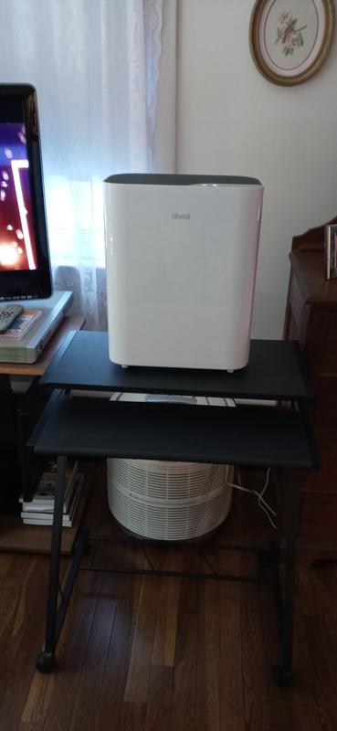 And I bought a second one!