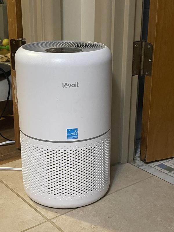 Core® 300-P: Perfect Small Air Purifier Choice – Levoit