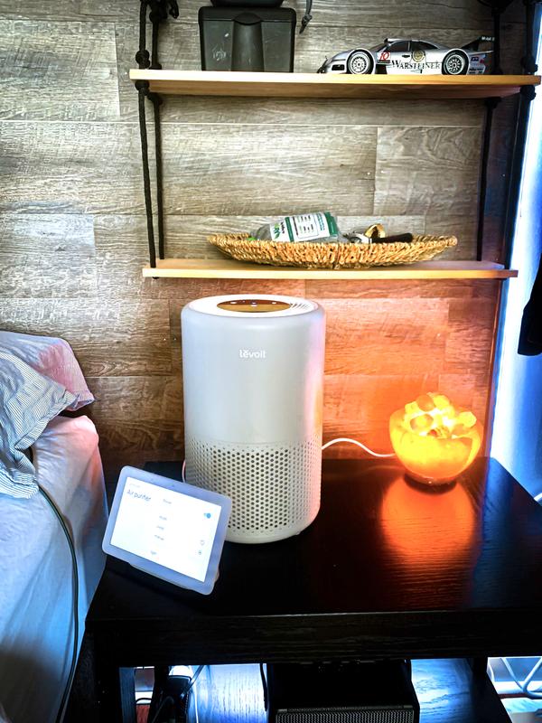Levoit Vital 200S review: How a smart air purifier helped save our holiday  plans